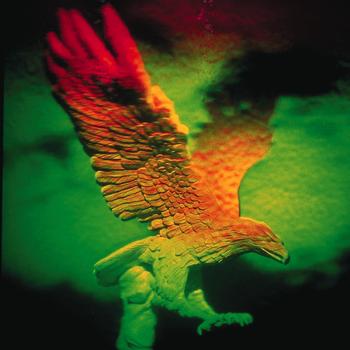 Eagle Image